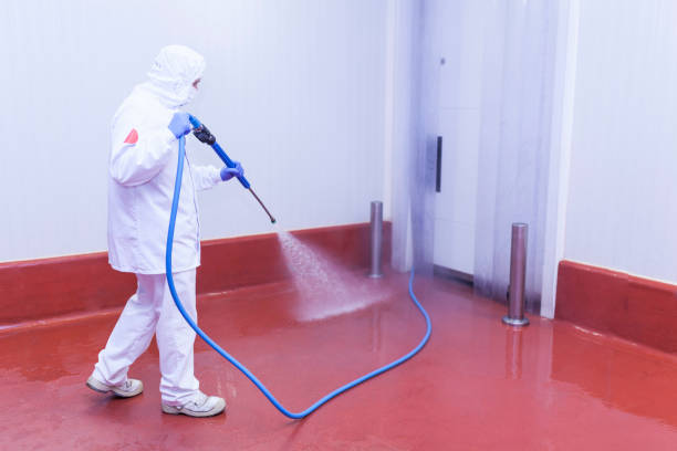 Best Roof Washing  in Cataula, GA